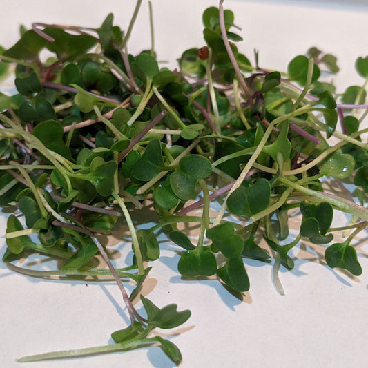 Vital Green Mix
